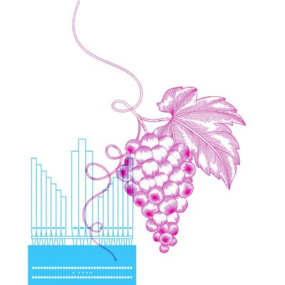 OrganoVino_2023_visual_(c)_Ada_Tanner OrganoVino_2023_visual_(c)_Ada_Tanner