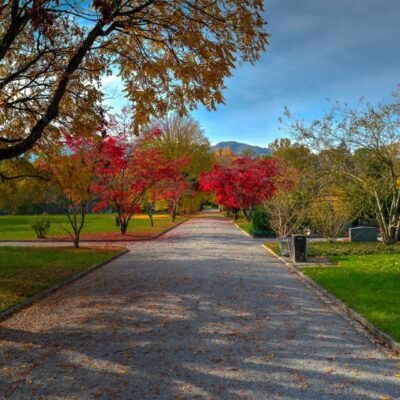 Friedhof Sihlfeld (c) ponte1112 flickr Friedhof Sihlfeld (c) ponte1112 flickr