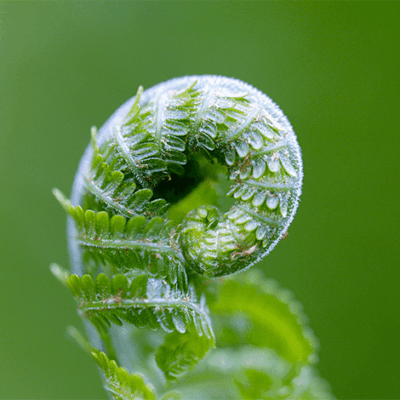 Fastenwoche 2026 470x470 (c)